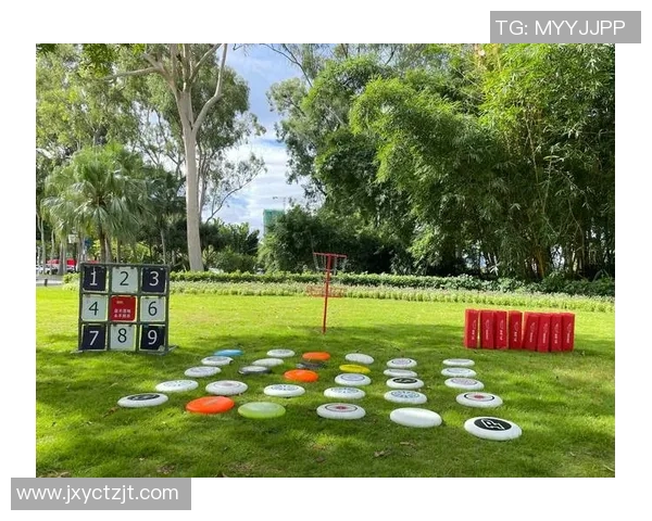 飞盘竞技新视野：深入解析杭州飞盘队的战术与训练秘诀