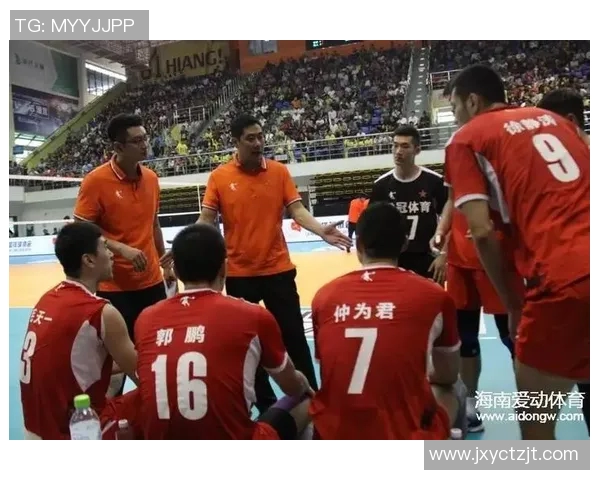上海排球队战术争议引发热议球迷与专家的不同声音解析