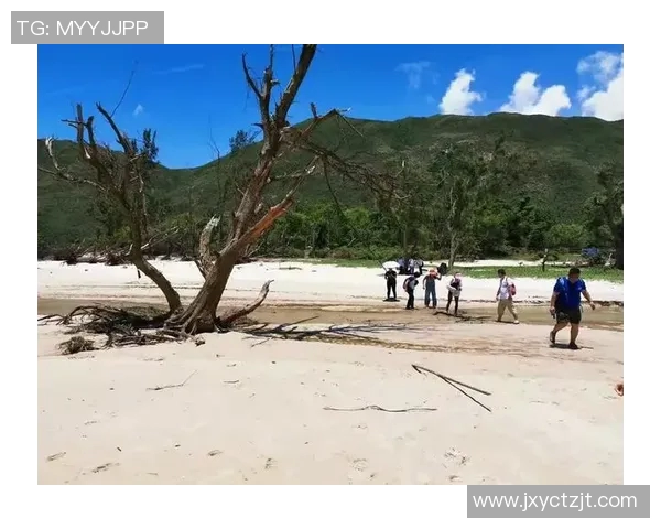 深圳乒乓球队耐力训练的挑战与突破探索之旅